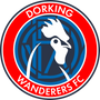 Dorking Wanderers FC