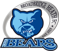 broadbridge heath fc