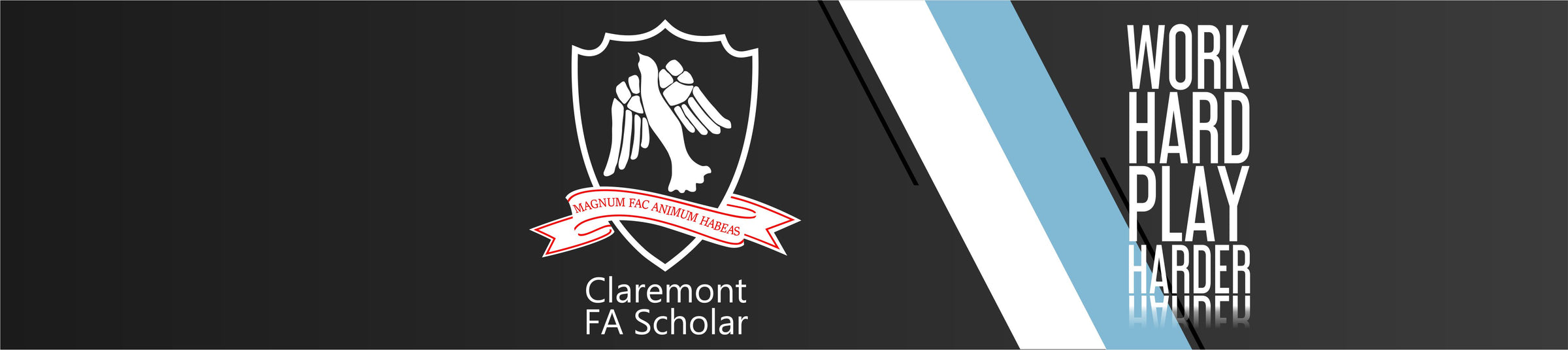 CIFA banner