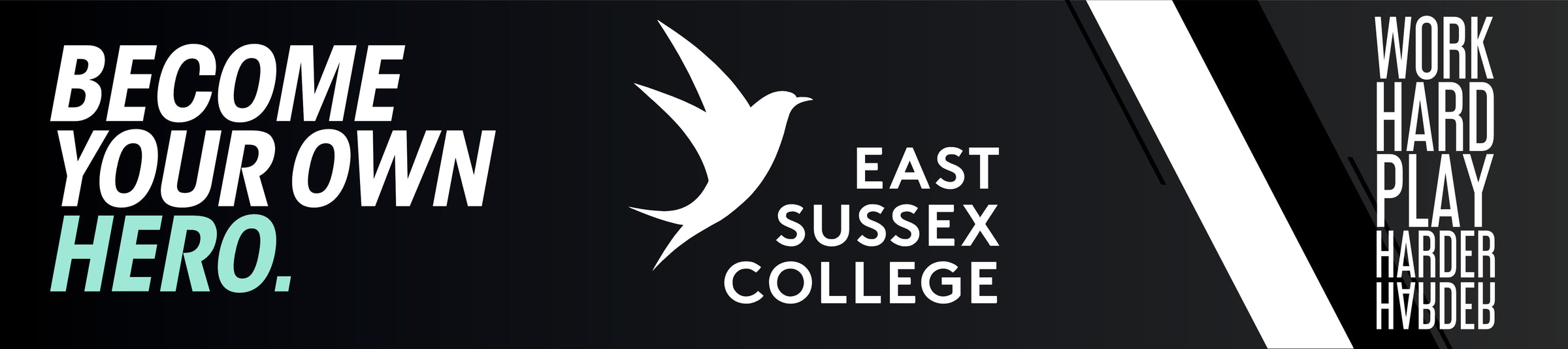 East Sussex College banner
