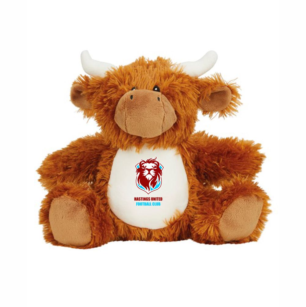 HASTINGS UNITED FC – Club Teddy bears – 20 different characters to choose from!