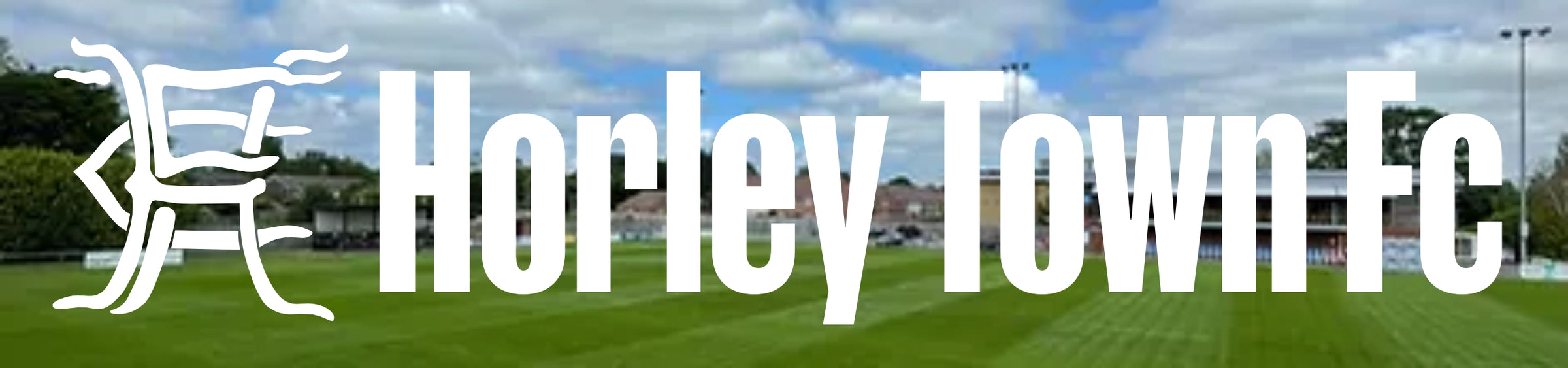 Horley Town FC - Coaches banner
