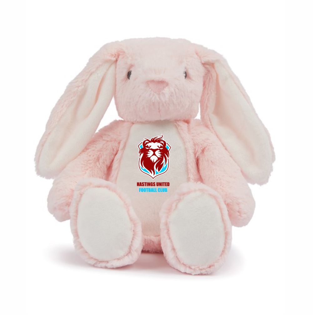 HASTINGS UNITED FC – Club Teddy bears – 20 different characters to choose from!