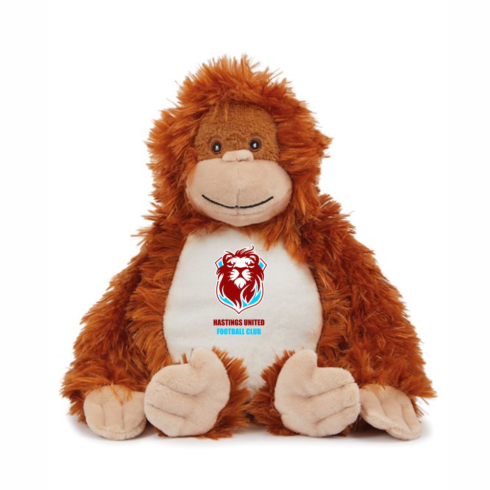 HASTINGS UNITED FC – Club Teddy bears – 20 different characters to choose from!