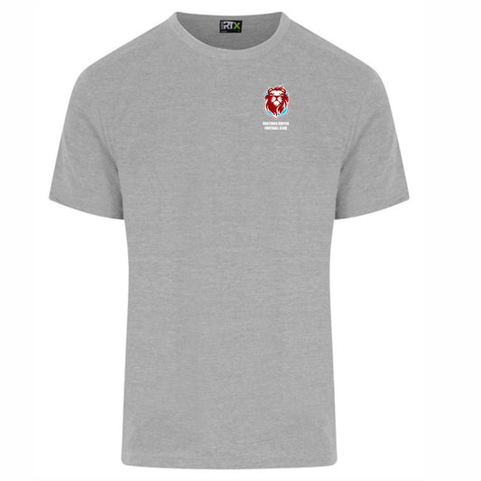 HASTINGS UNITED FC – CLUB T SHIRT- Available in 7 colours
