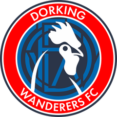 dorking wanderers fc