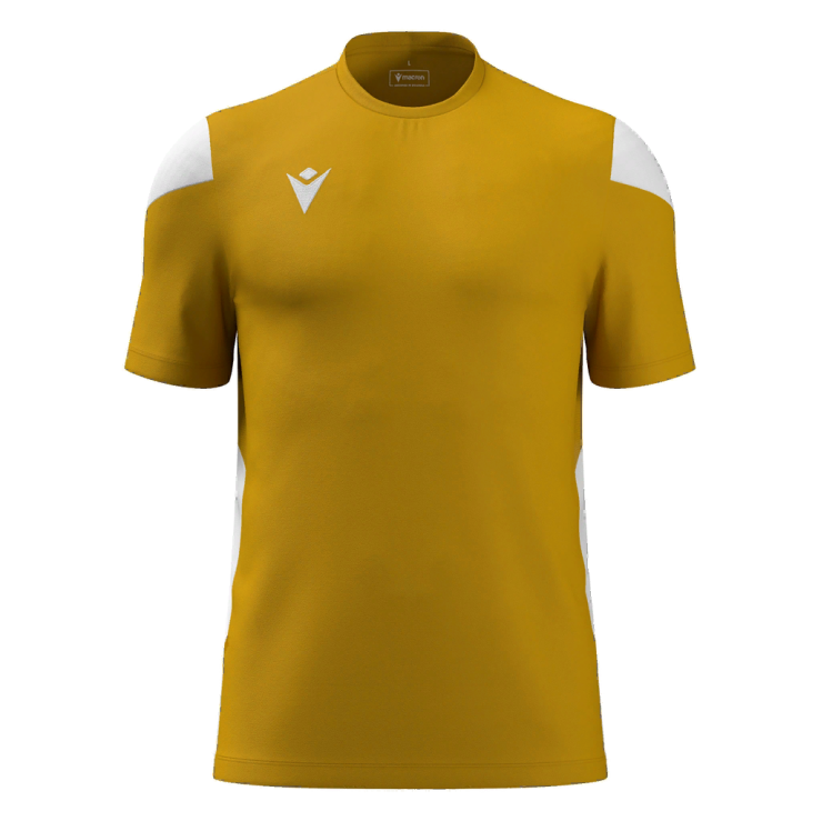 Polis | Gold/White | Front