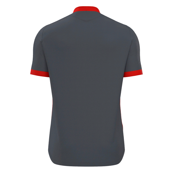 Wyvern | Grey/Red | Back