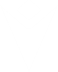 Macron hero logo