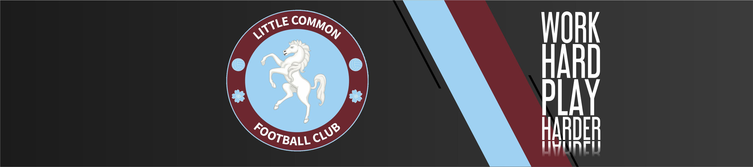 Little Common FC banner