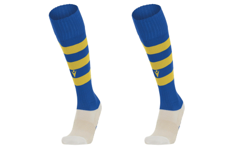 Hoop | Royal Blue/Yellow | Main