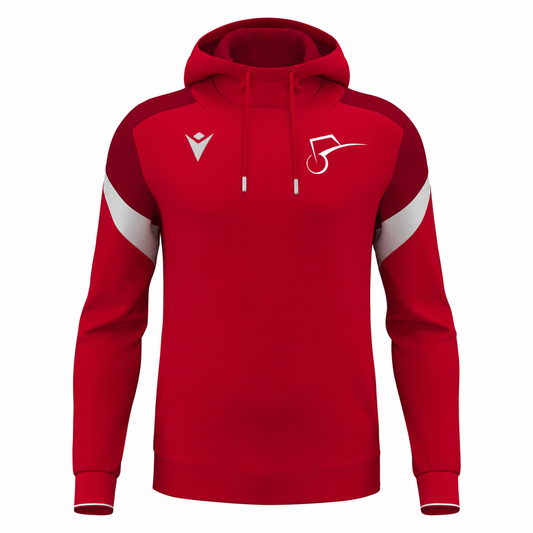 STEYNING TOWN FC JNR PLAYERS ALCHEMIST HOODY — front
